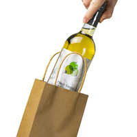 twist handle paper carrier bags wine 2  - Medium